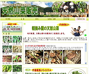天然とりたて山菜販売の朝摘み屋 山形県